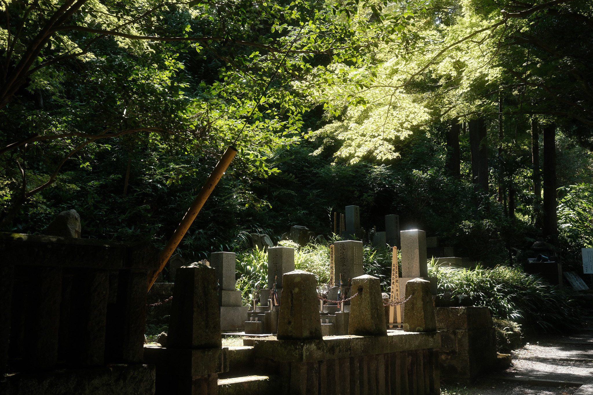 Photo from Japan trip